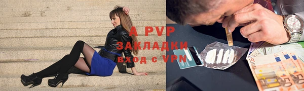 шишки Елизово