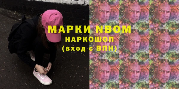 шишки Елизово