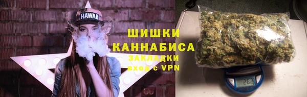 индика Ельня