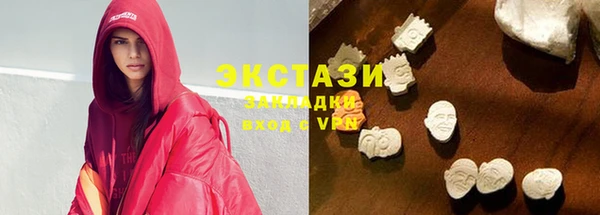 индика Ельня
