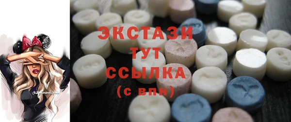 индика Ельня