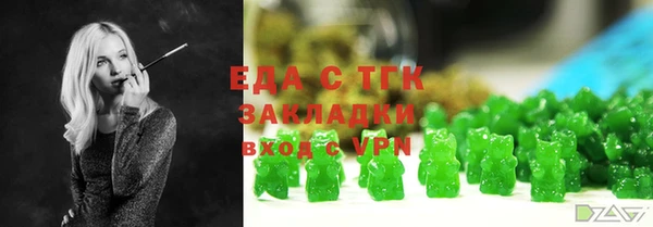 индика Ельня