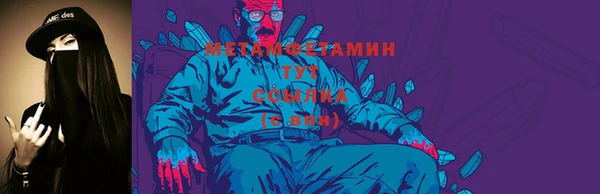 индика Ельня