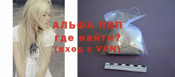 индика Ельня
