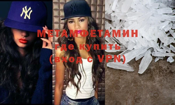 индика Ельня