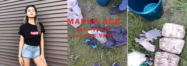 индика Ельня