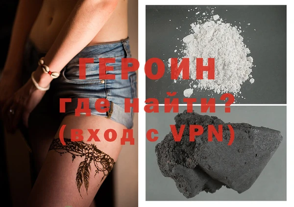 индика Ельня