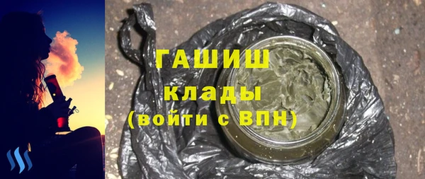 индика Ельня