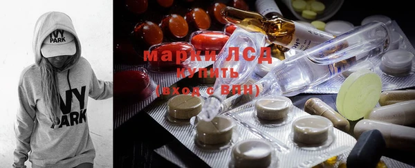 шишки Елизово
