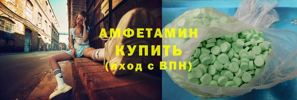 шишки Елизово